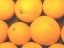 ジューシーオレンジの出荷がスタートしました！ 推薦者１号 ザッツニュース